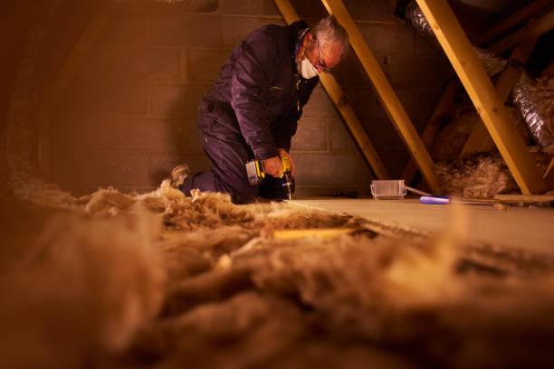 Best Blown-in Insulation  in Queen Anne, MD